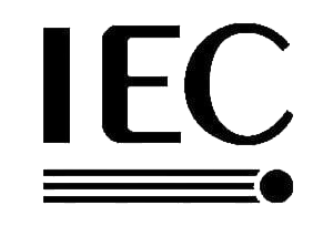 Bulk ginger powder exporter from India ISO